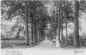 De Aarle-Rixtelseweg omstreeks 1900